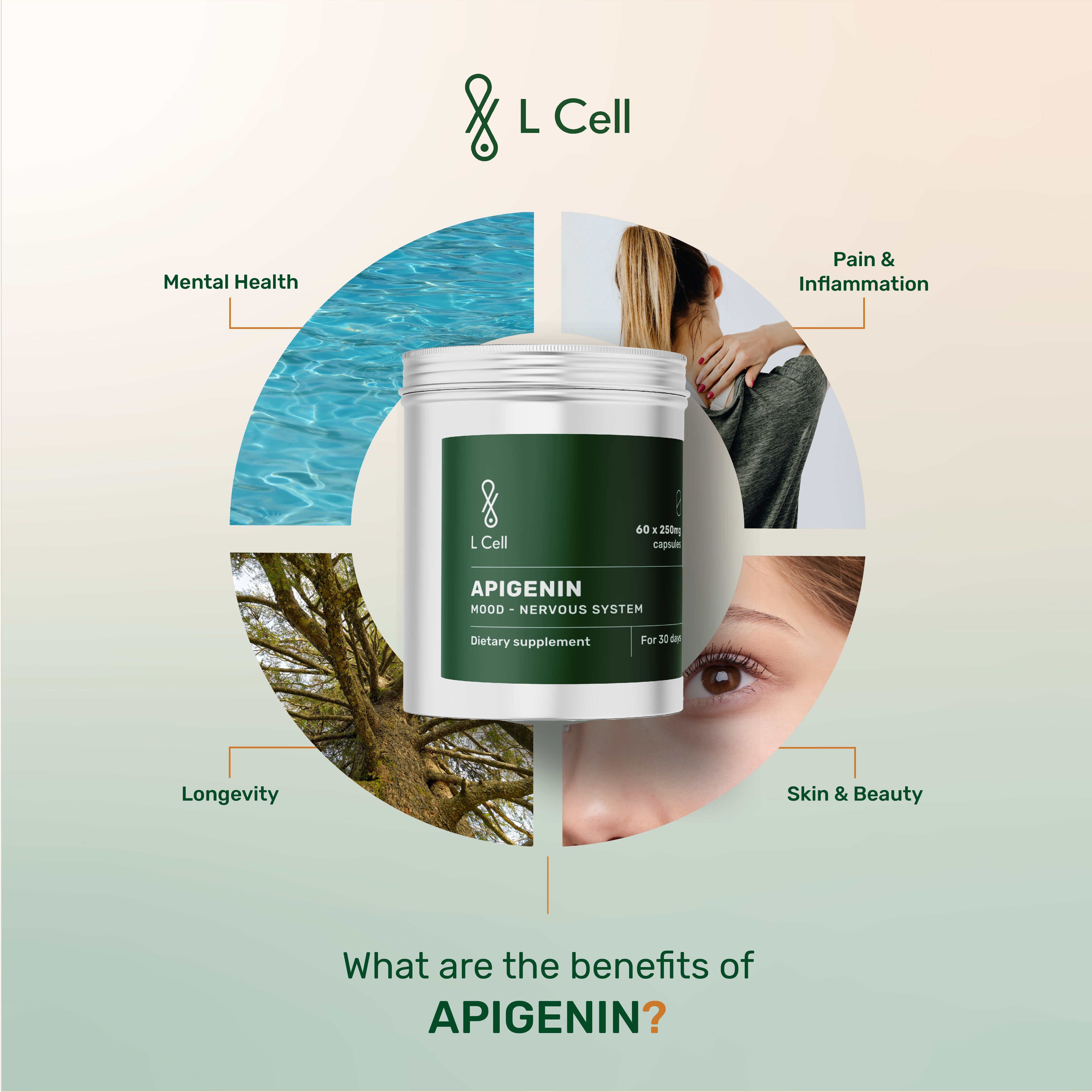 Apigenin Powder 30g (60 days, >98% purity)
