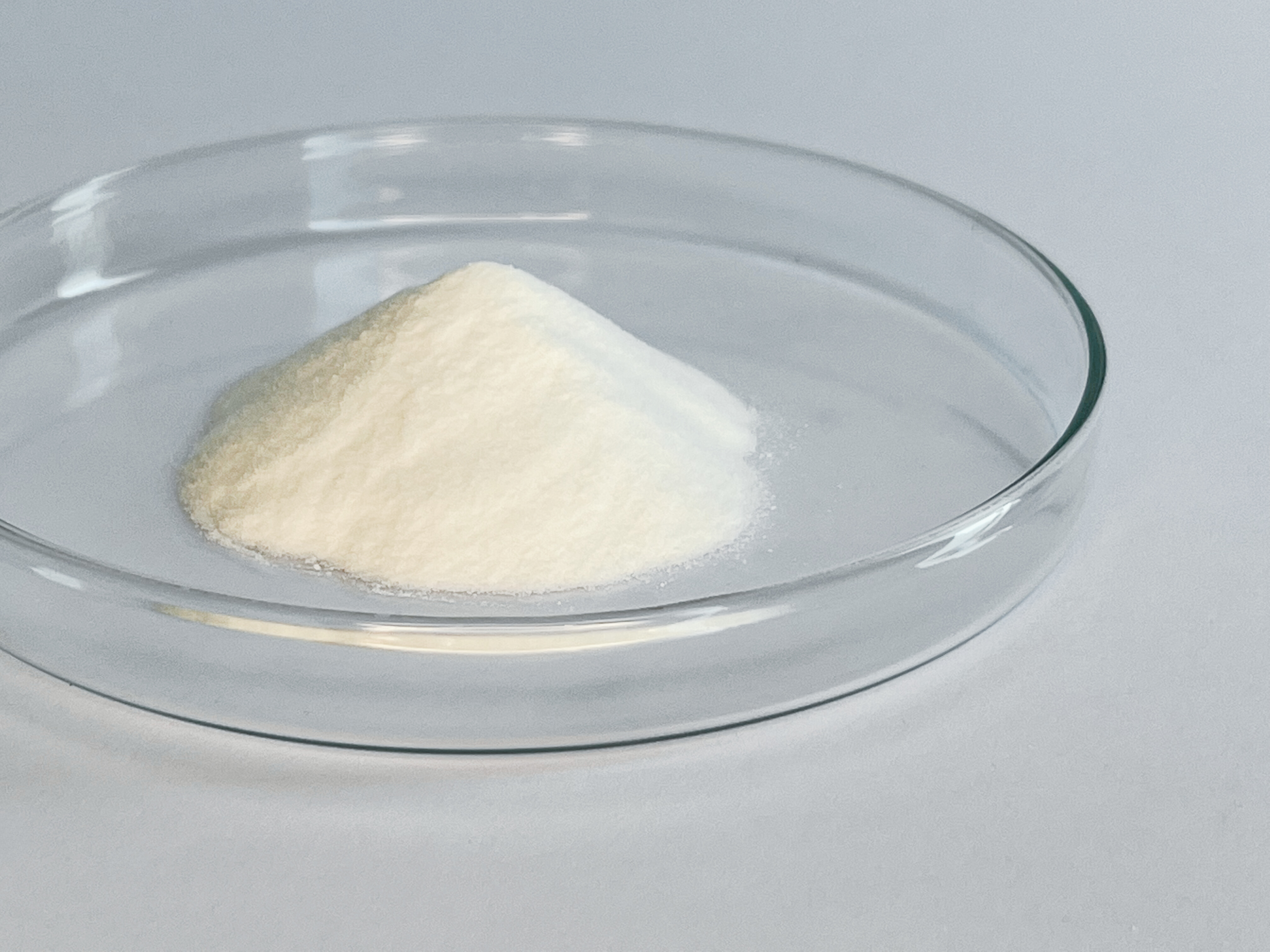 CaAKG Powder 48g (60 days, >98% purity)