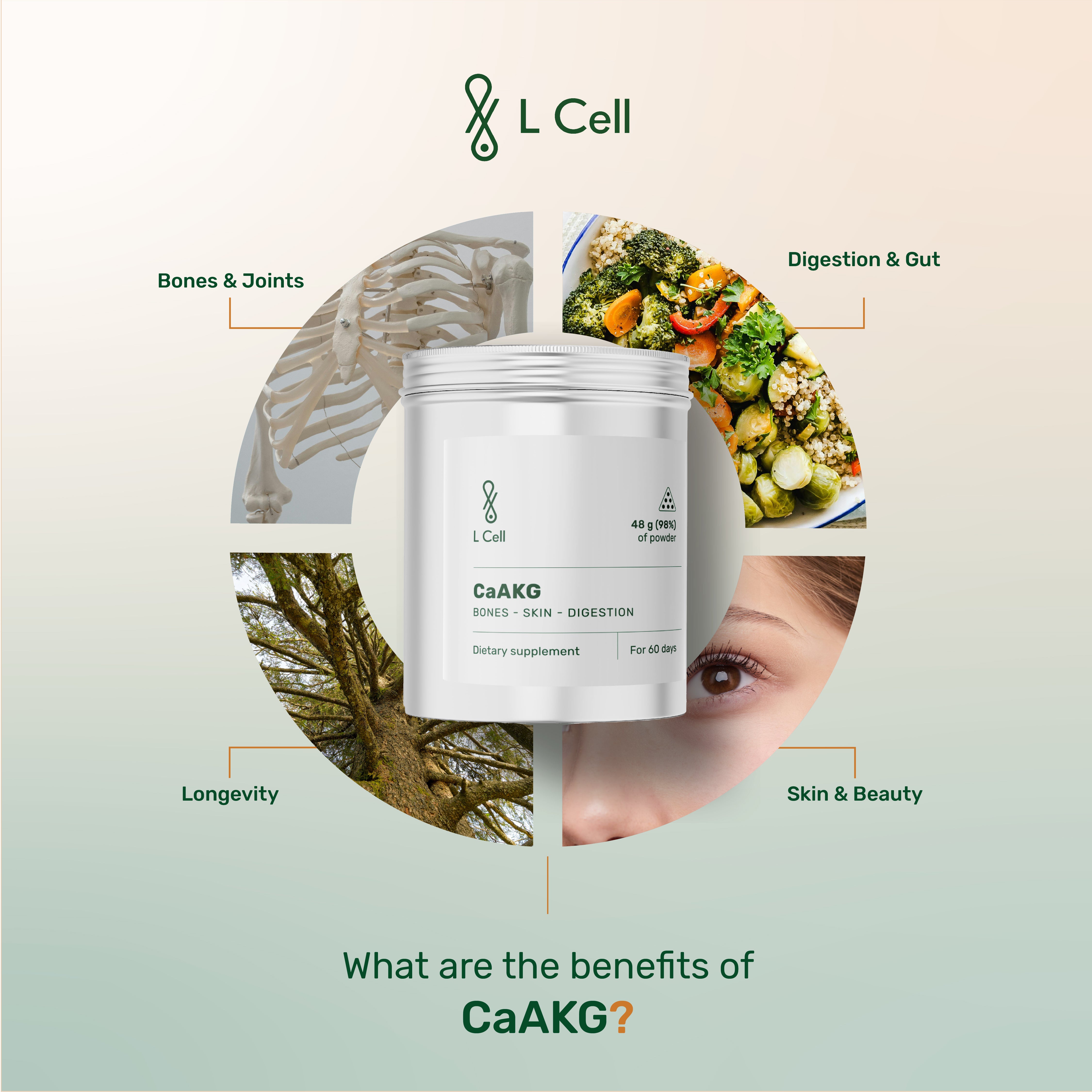 CaAKG Powder 48g (60 days, >98% purity)