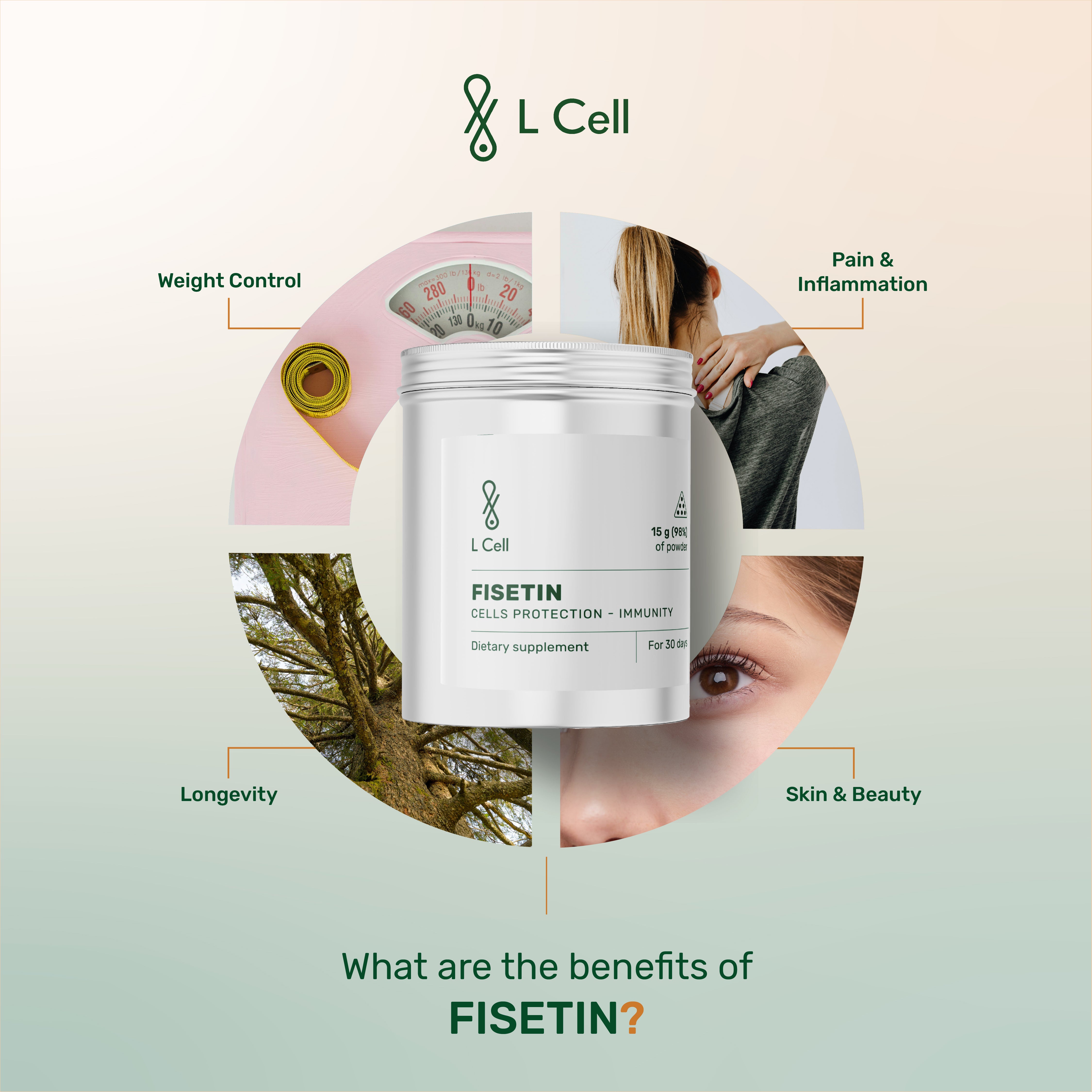 Fisetin Powder 15g (30 days, >98% purity)