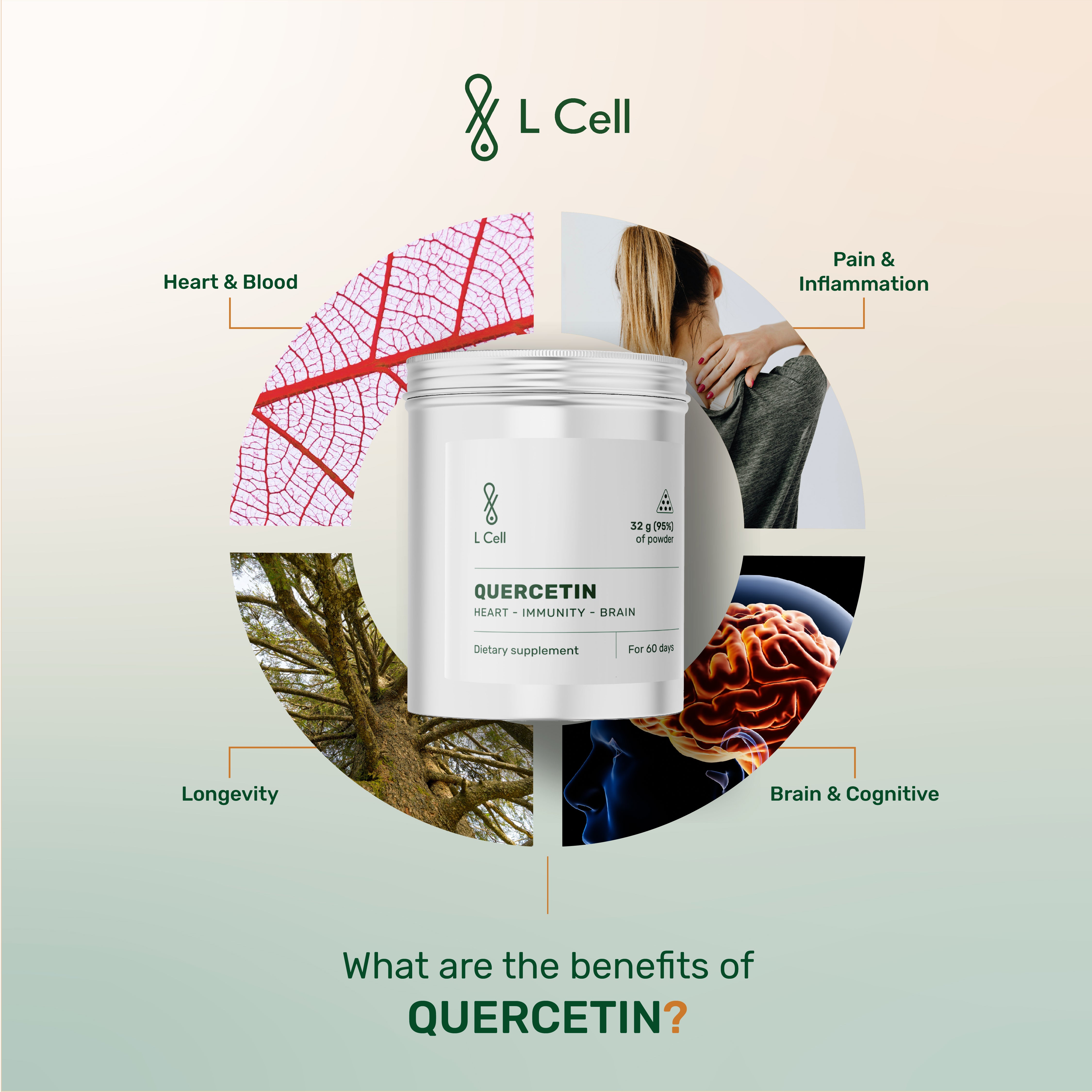 Quercetin Powder 30g (60 days, >98% purity)