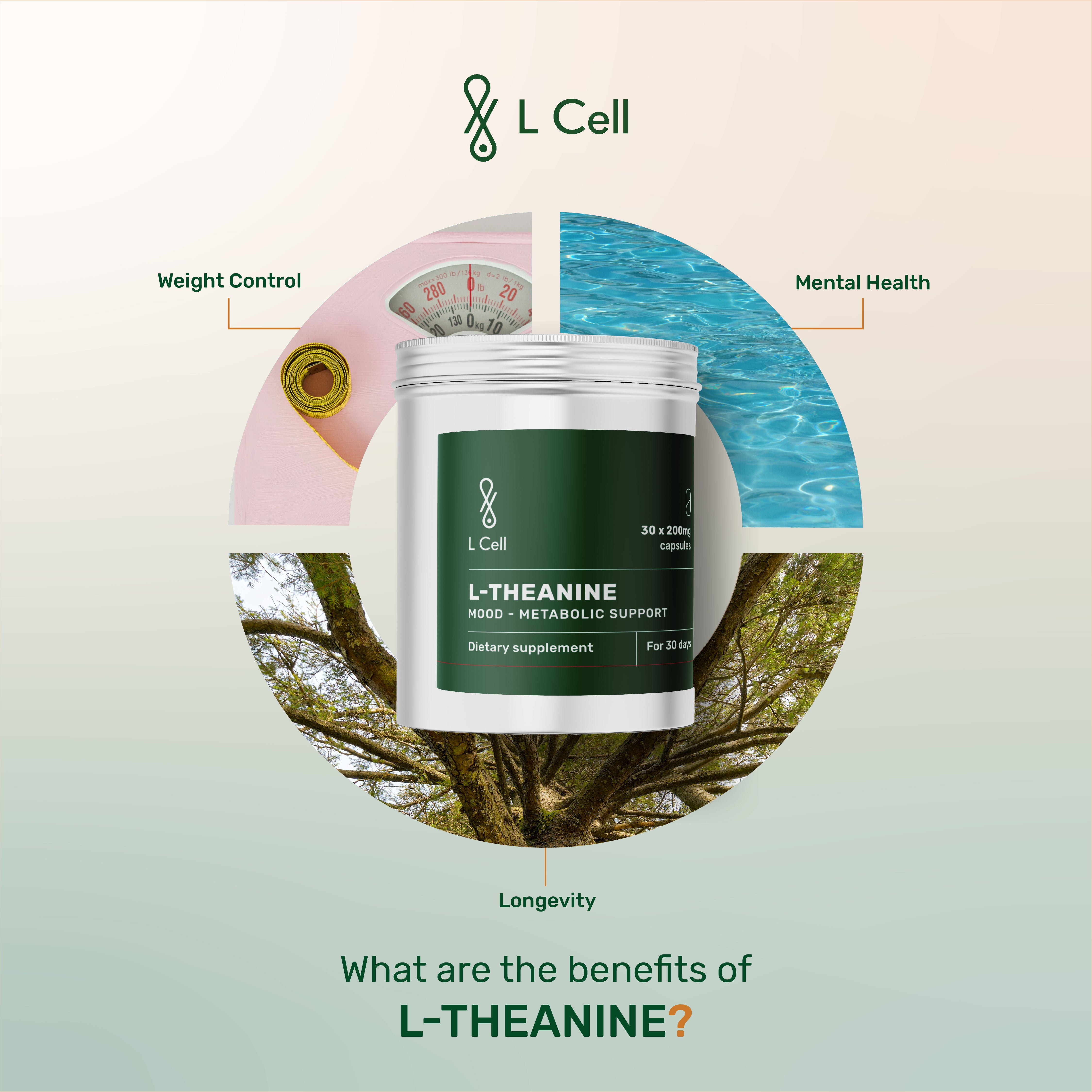 L-Theanine Capsules 200mg (30 servings, 30 caps)