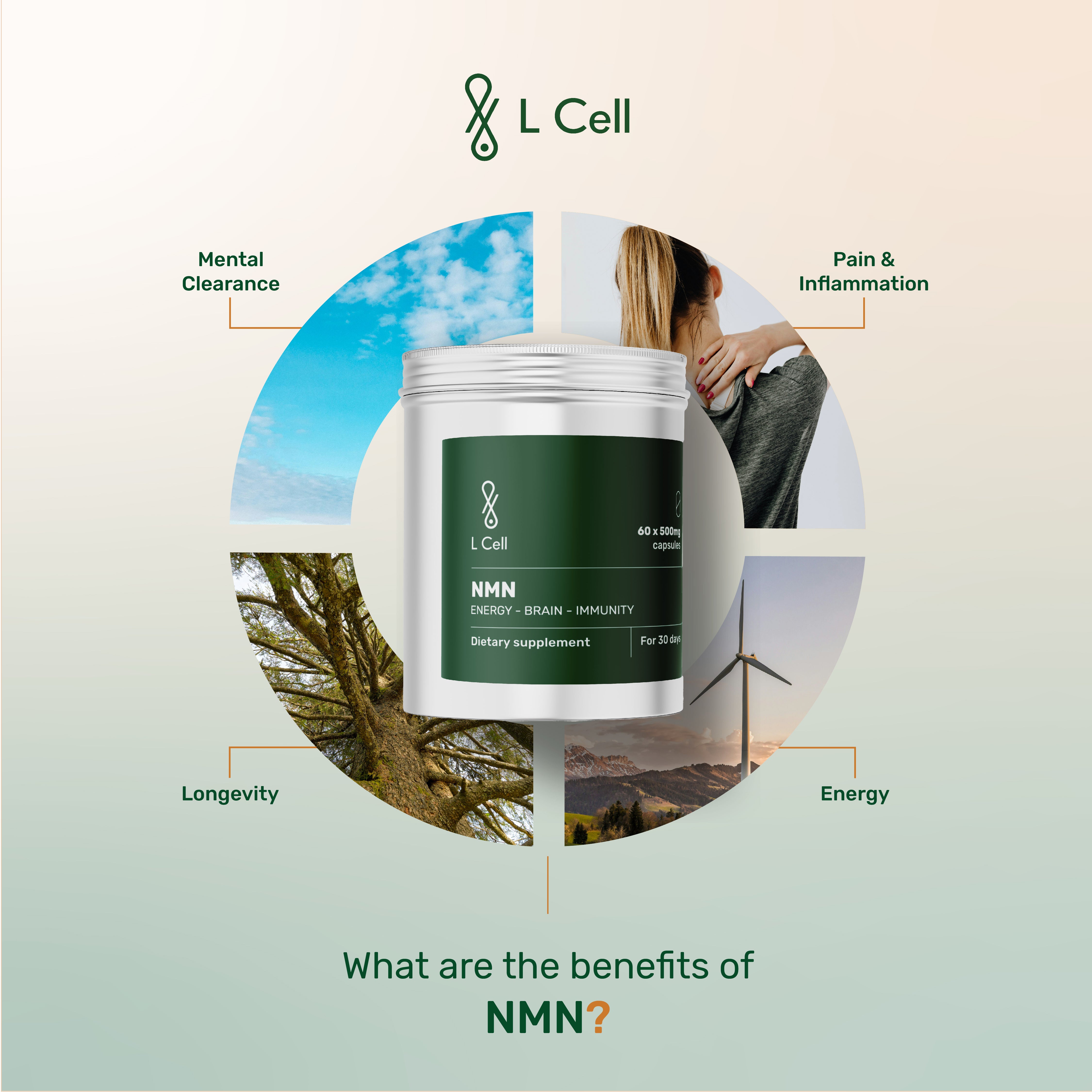 NMN Capsules 500mg (30 servings, 60 caps)