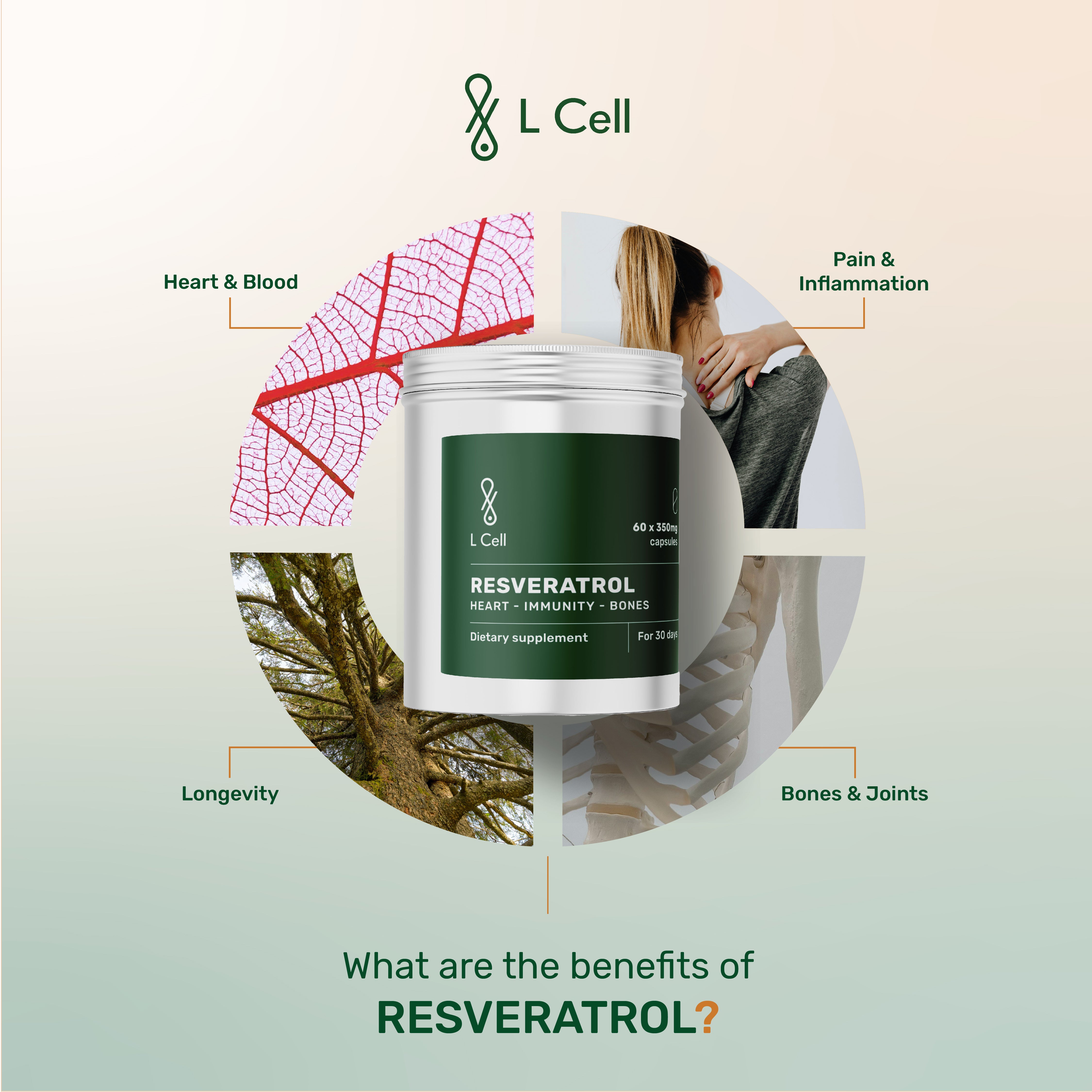 Trans Resveratrol Capsules 300mg (30 servings, 60 caps)