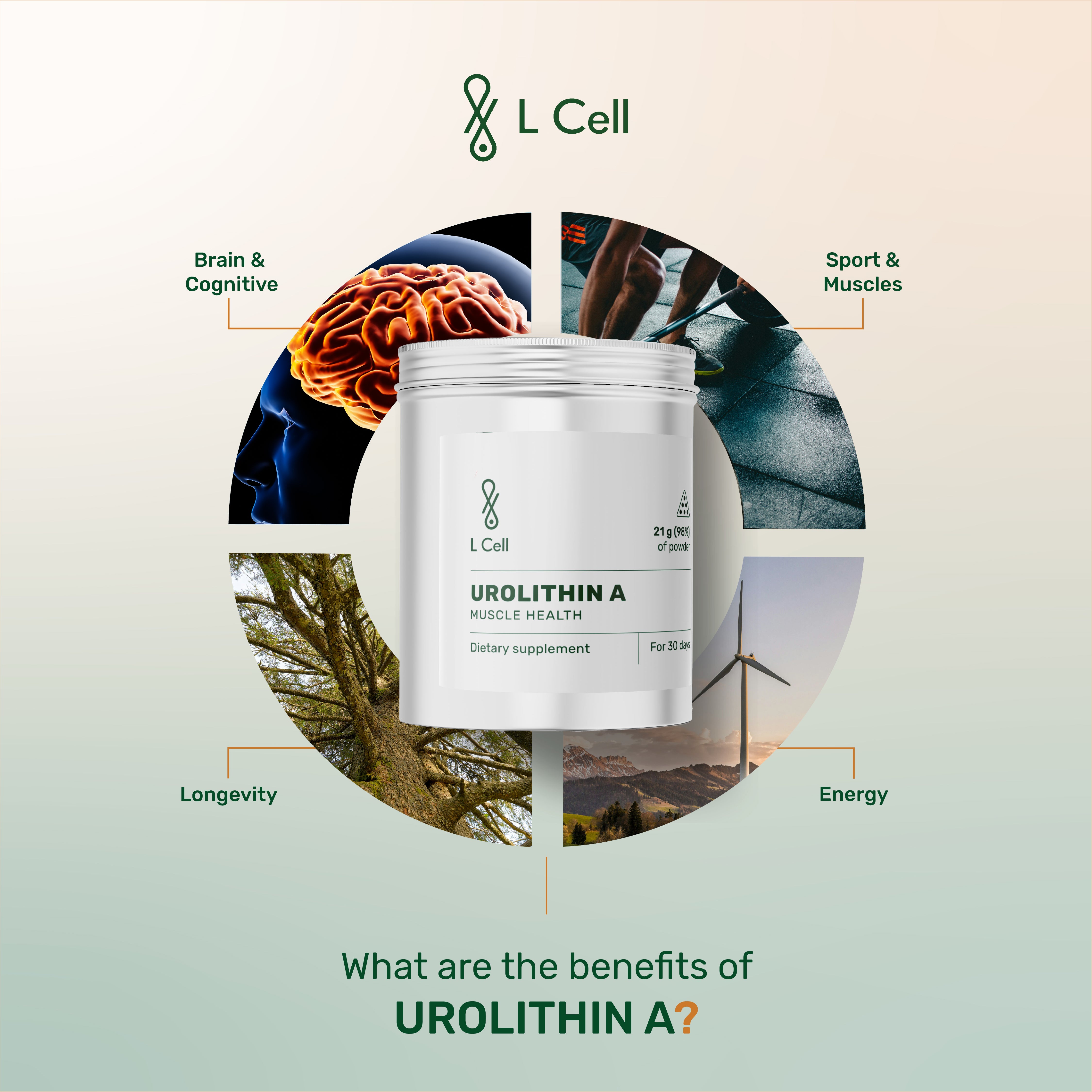 Urolithin A Powder 21g (30 days, >98% purity)