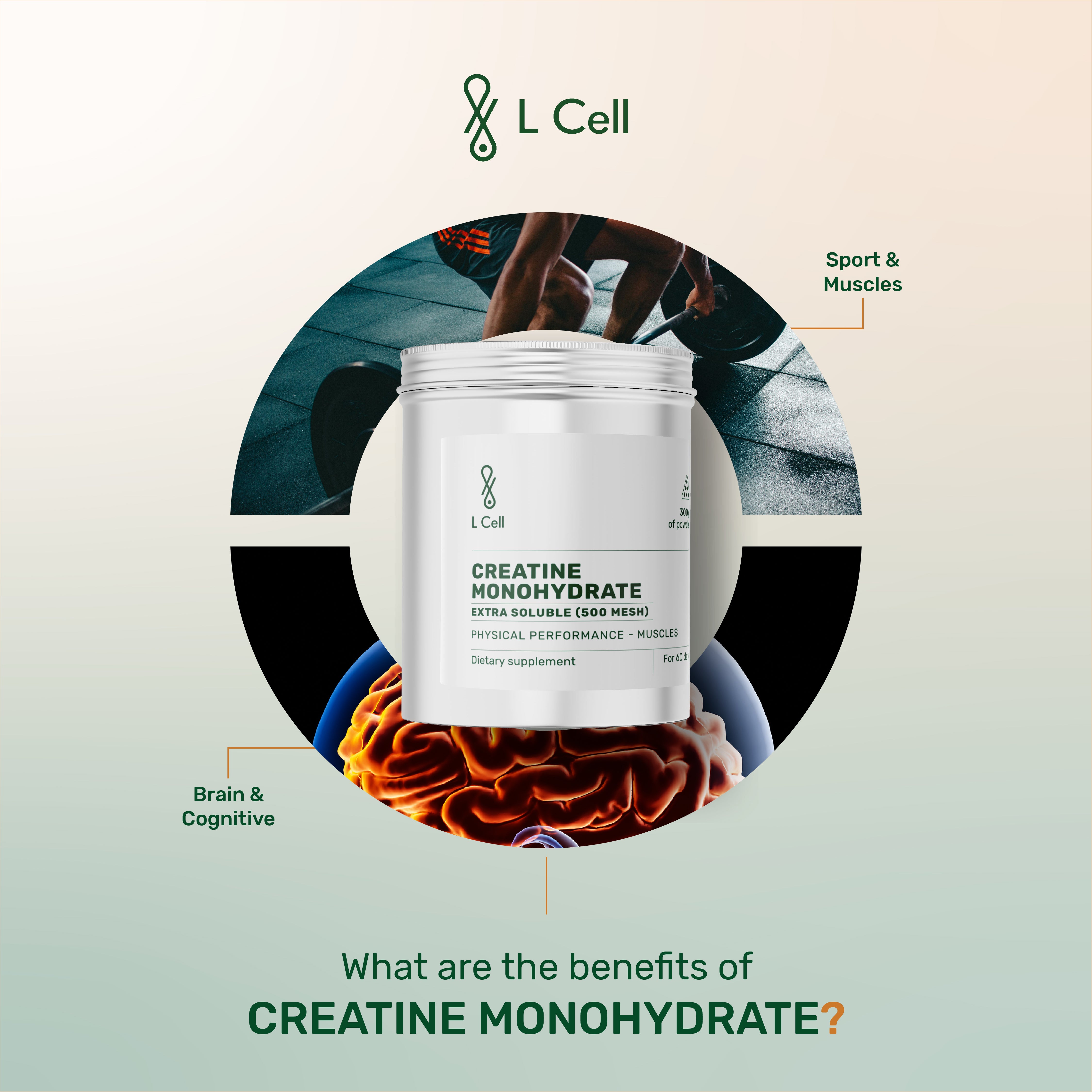Creatine Monohydrate powder 300g (60 days, 500 mesh), extra soluble