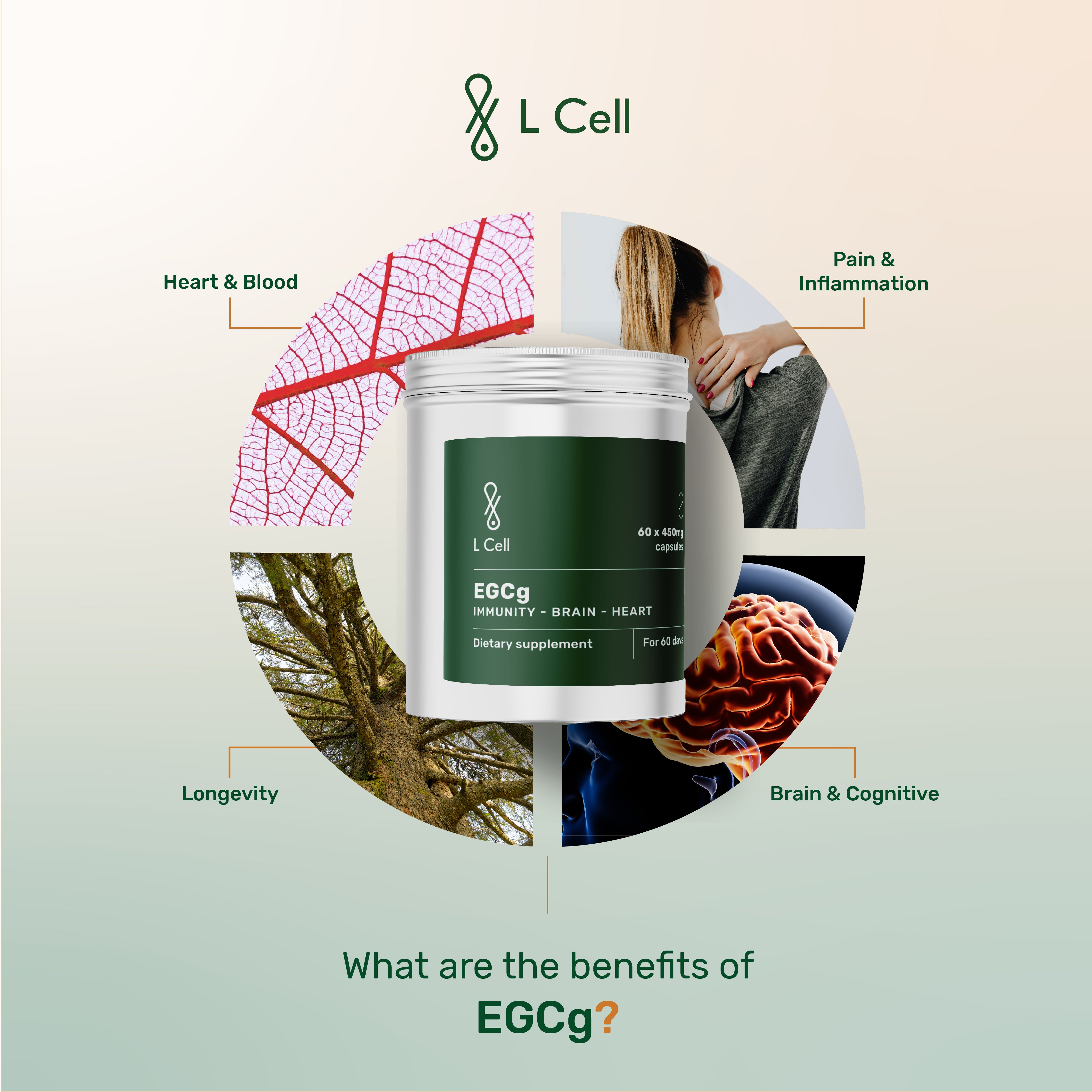 EGCg Capsules 450mg (60 days, 60 pc.)