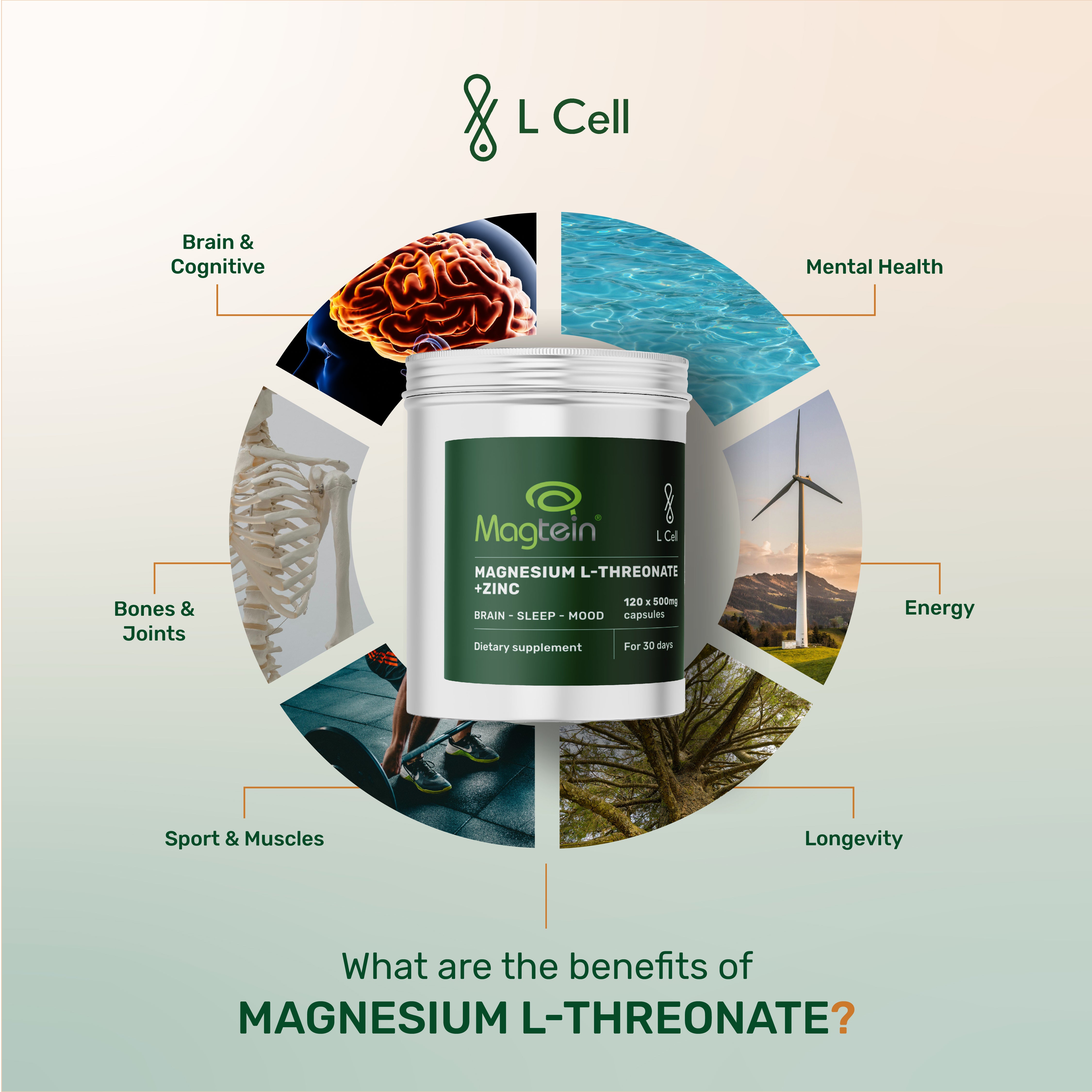 Magnesium L-Threonate Capsules 500mg (30 days, 120 pc.)