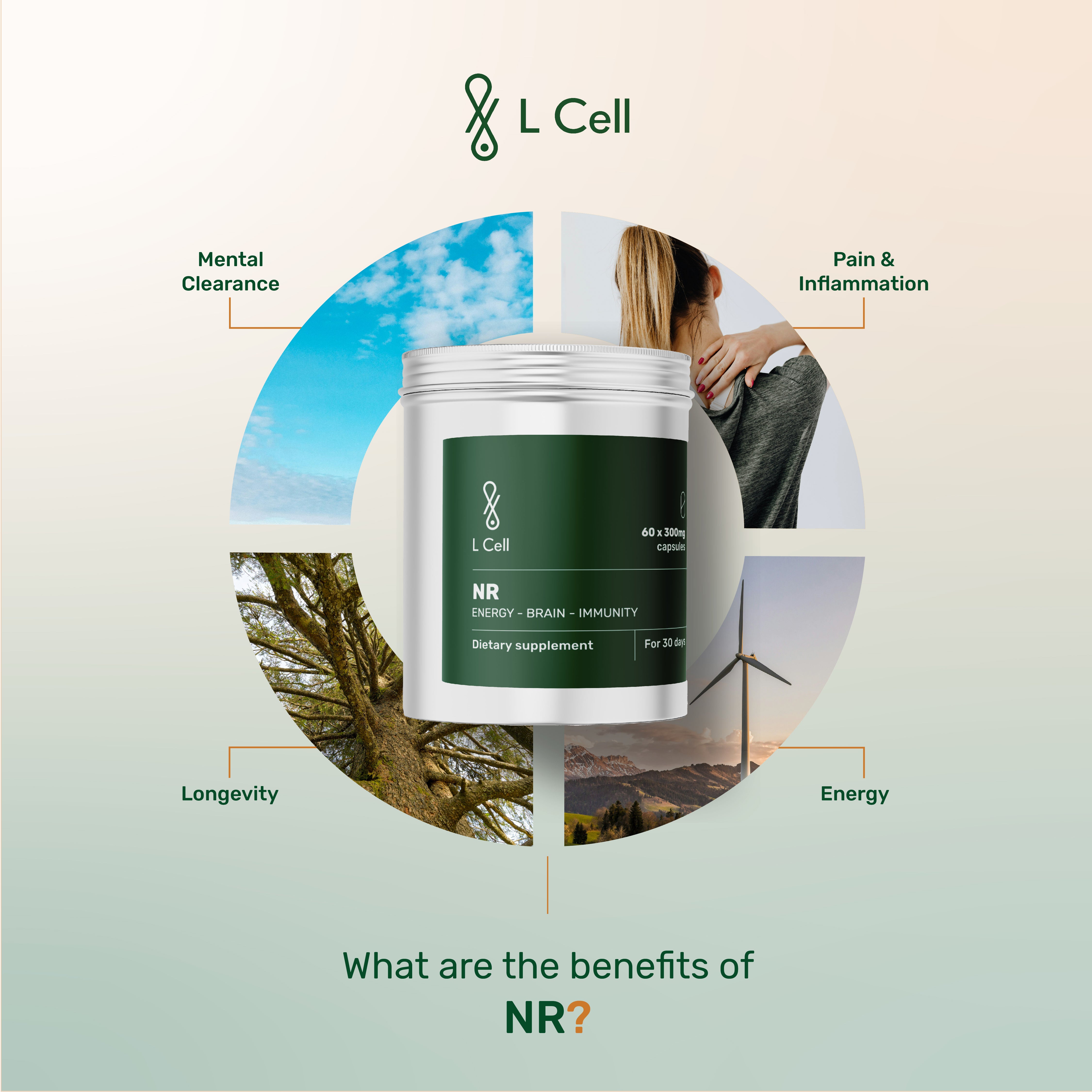 NR Powder 24g (30 days, >98% purity)